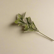 Rama Nevada Con Bayas Rojas - ambientihonduras