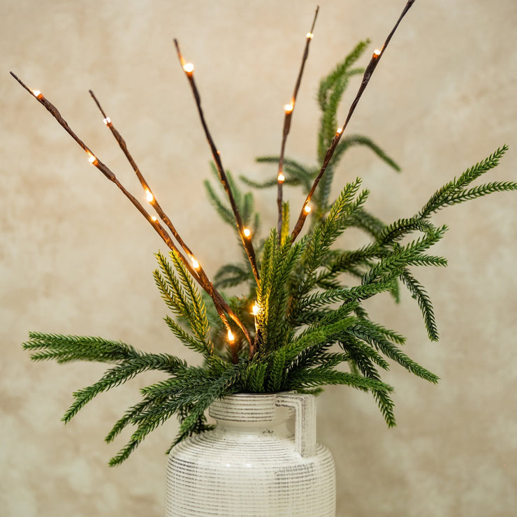 Ramas Café con Luces - ambientihonduras