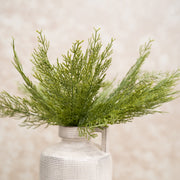 Ramas Ciprés Largo - ambientihonduras