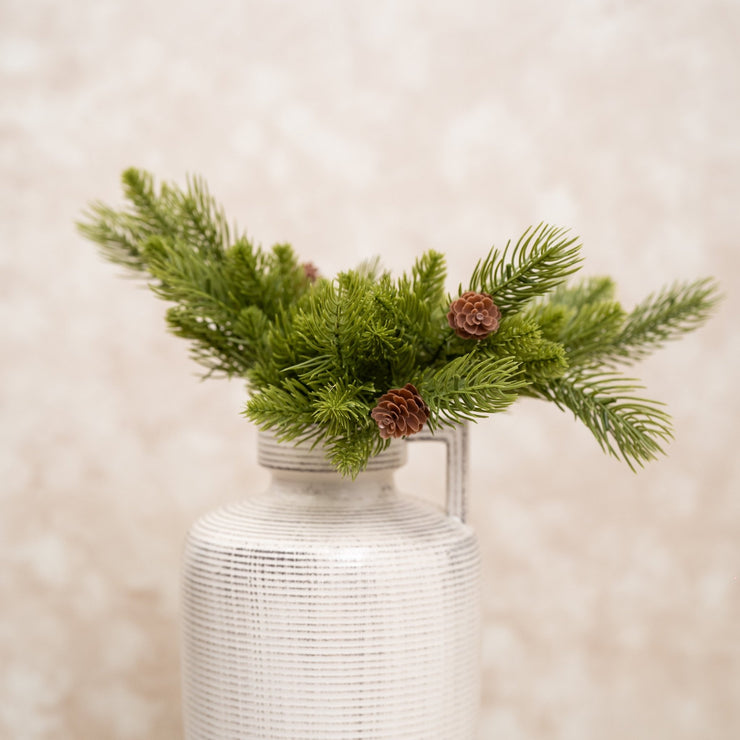 Ramas de Pino con Bellotas Mini - ambientihonduras