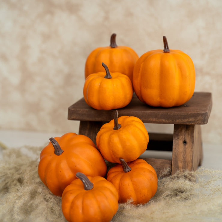 Red de Calabazas Naranjas - ambientihonduras