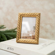 Retratera Dorada - ambientihonduras