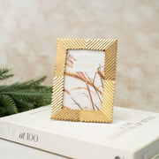 Retratera Dorada - ambientihonduras