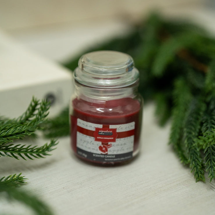 Vela Apple Cinnamon Mini - ambientihonduras