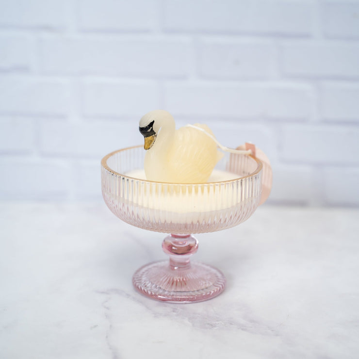 Vela Cisne - ambientihonduras