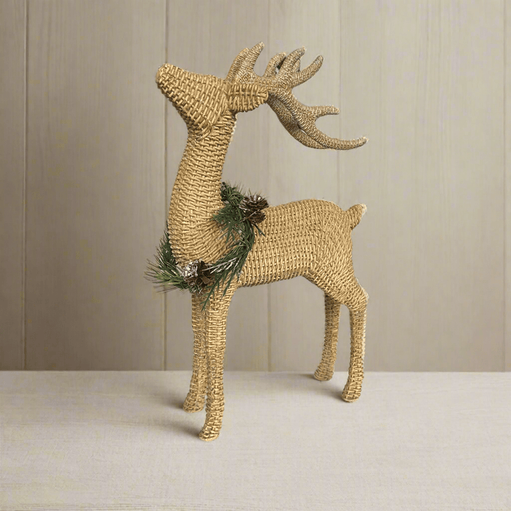 Venado de Rattan - ambientihonduras