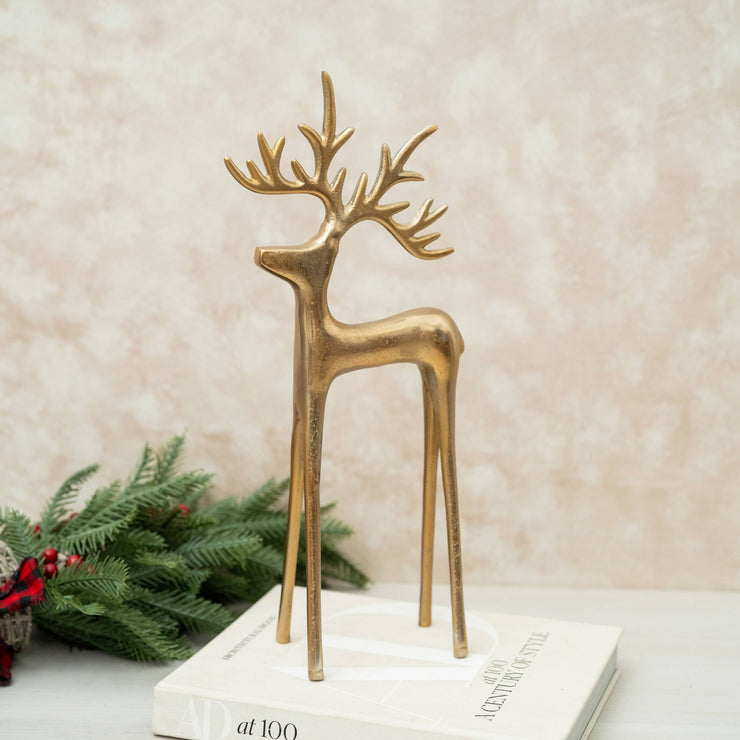 Venado Dorado Alargado - ambientihonduras