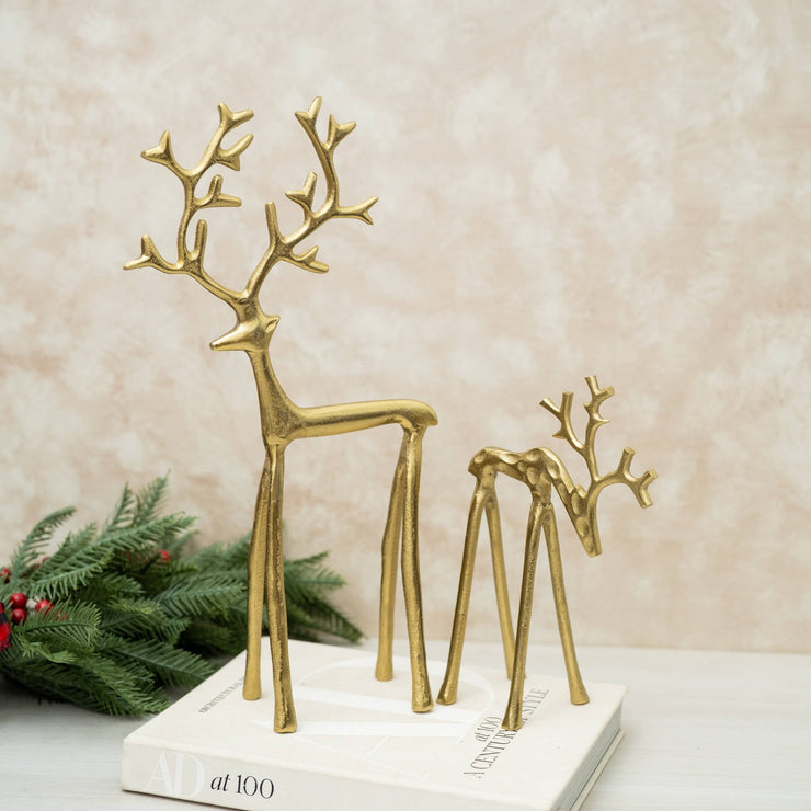 Venados Alargados - ambientihonduras