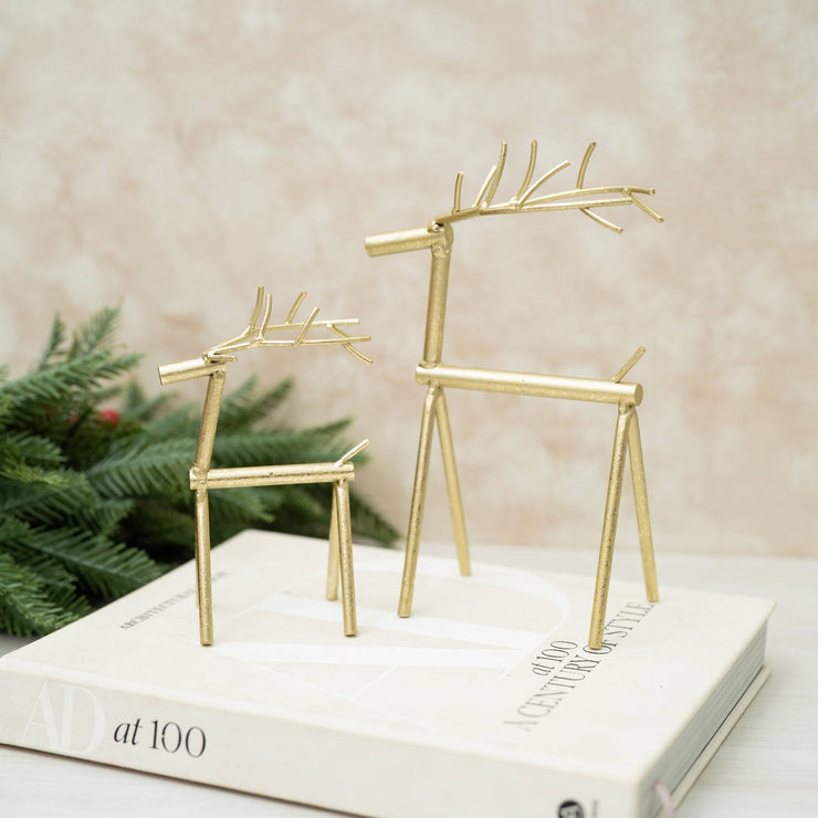 Venados Dorados Delgados - ambientihonduras