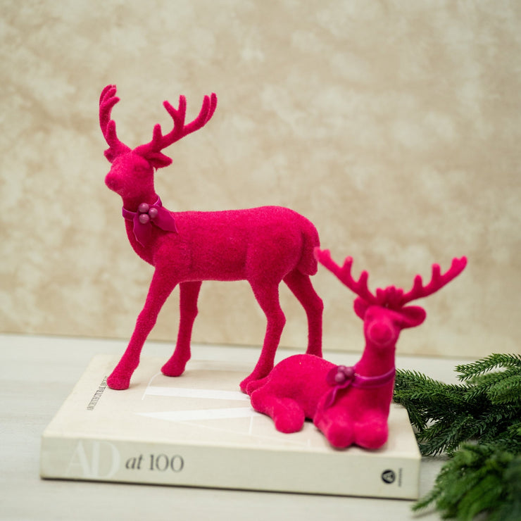 Venados Rosa - ambientihonduras